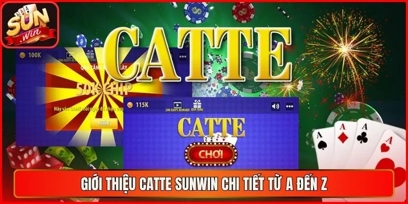 Giới thiệu catte sunwin chi tiết từ A đến Z
